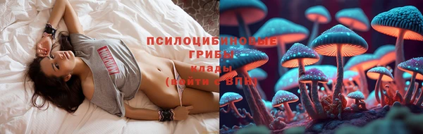 дурь Алзамай