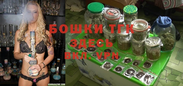 apvp Алексин
