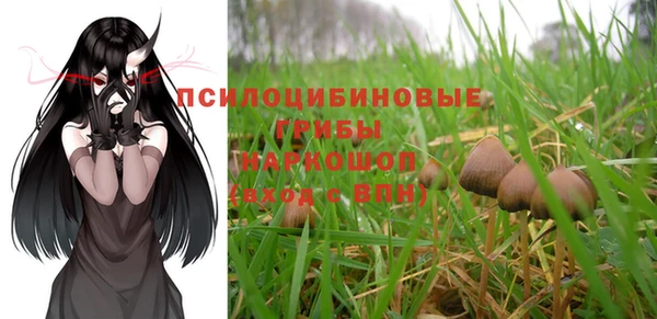 мяу мяу мука Алексеевка