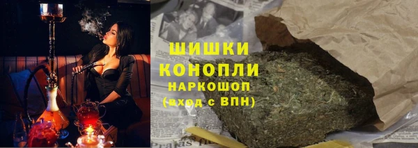 индика Абинск