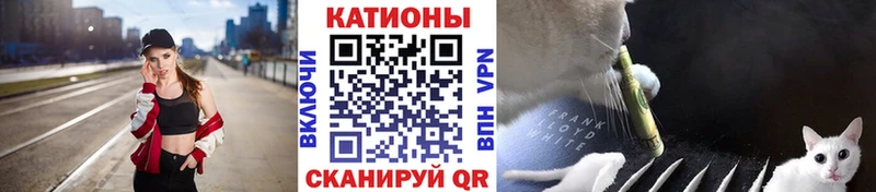 OMG ссылки  Кинешма  МЯУ-МЯУ мяу мяу 
