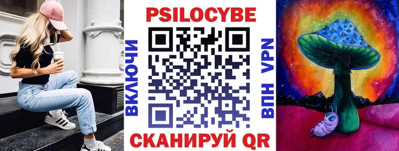 Галлюциногенные грибы Psilocybe Кинешма