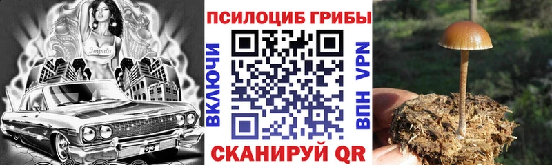 Псилоцибиновые грибы Magic Shrooms  Кинешма 